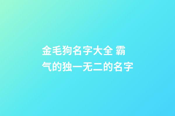 金毛狗名字大全 霸气的独一无二的名字